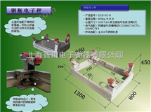 DCS-XC-G鋼缾(ping)電(dian)子秤,氯氣(qi)電子(zi)秤,稱氯(lv)氣的電子秤(cheng)