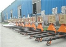 DCS-XC-FEx2噸(dun)叉車(che)防爆(bao)電子(zi)秤