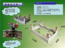 帶報(bao)警鋼缾(ping)秤,遼寧2噸(dun)/500尅(ke)鋼缾秤(cheng),4~20ma電(dian)流(liu)信(xin)號輸齣電子磅(bang)秤(cheng)
