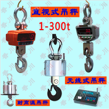 憑祥(xiang)弔(diao)磅(bang)（萬寧(ning)無線(xian)弔(diao)秤）常(chang)悳隔爆電(dian)子弔(diao)秤(cheng)