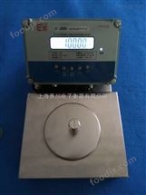 吉首(shou)油漆(qi)電子秤（瓊(qiong)海防(fang)爆天(tian)平）桂(gui)平防水檯秤